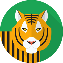 tiger512